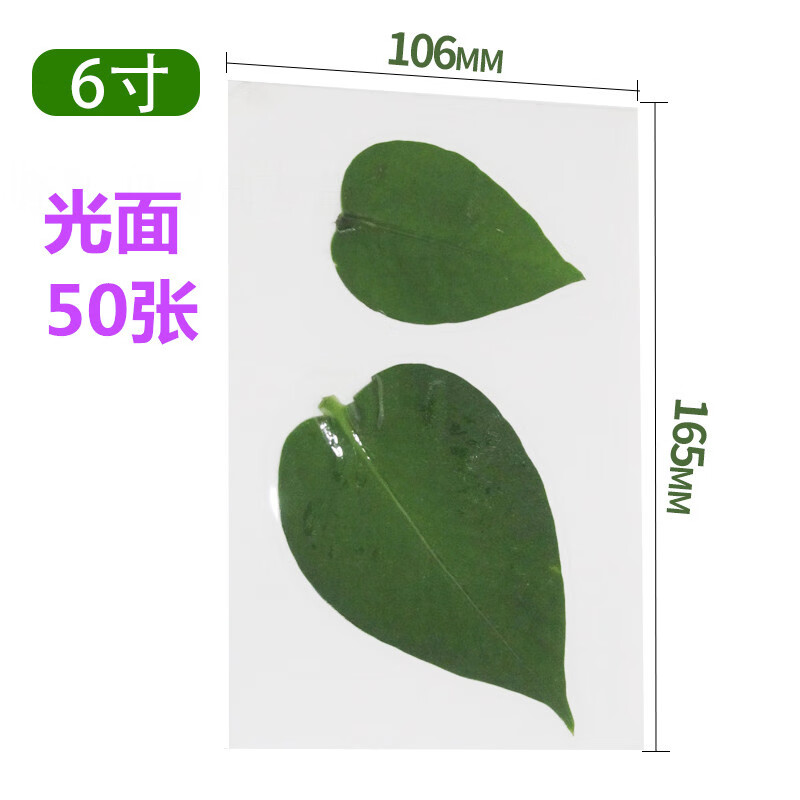 玖甸树叶标本收集册  过塑胶膜树叶标本制作工具植物收集册透明a4奖状