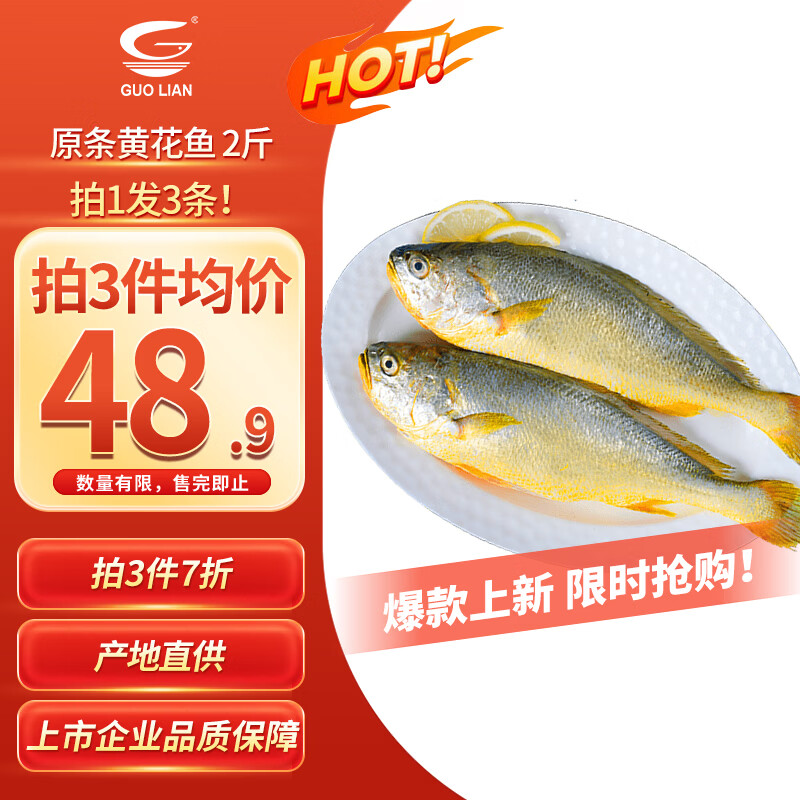 GUO LIAN国联水产 原条黄花鱼净重2斤3条宁德大黄鱼冷冻 生鲜整条纯鱼肉