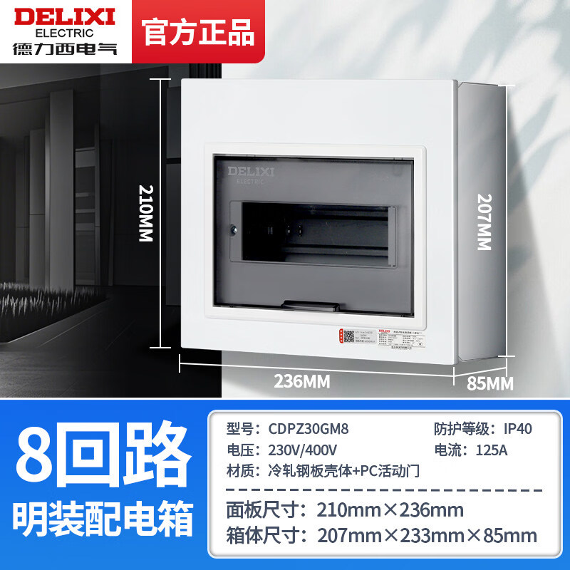德力西电气配电箱PZ30G家用明装室内配电箱强电箱暗装空气开关带漏保透明盒 8回路明装