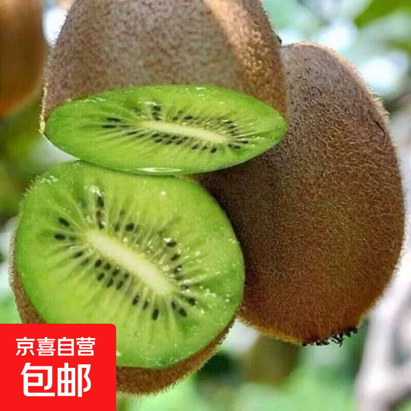 京喜加头茬绿心猕猴桃正宗新鲜水果当季批发奇异果水果孕妇现货大果 带箱5斤净重4.5斤 小果40-50g