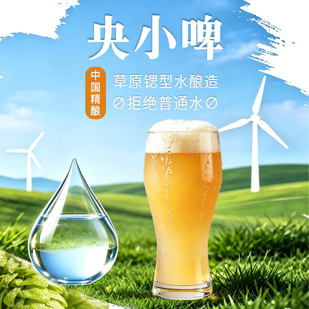 央小啤12P 德式小麦全麦精酿啤酒 锶型水进口麦芽28天慢发酵整箱送礼 500ml 12瓶 礼盒装