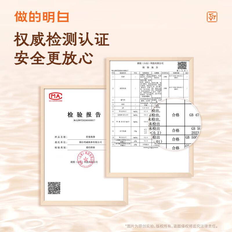明威海参 鲜食即食海参刺参 鲜活加工独立包装单个装开袋即食冷冻海鲜礼盒 10-12头(1斤 )
