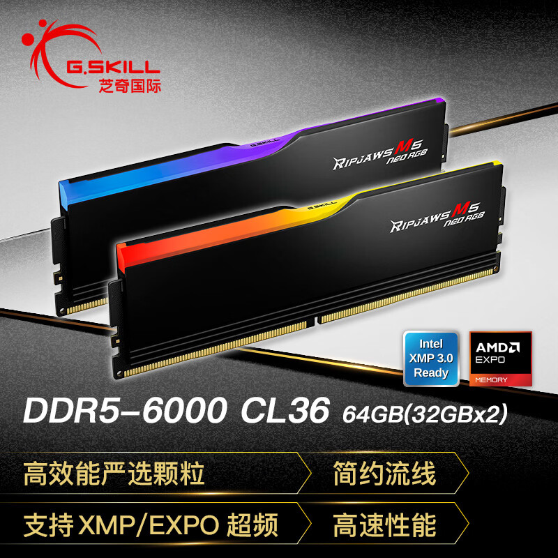G.SKILL芝奇（G.SKILL）64GB(32Gx2) DDR5 6000 台式机内存-烈焰枪RGB 灯条-黑色/AMD EXPO/C36
