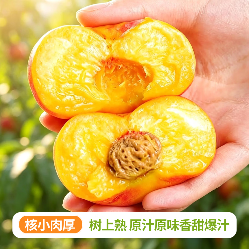 慧供彩虹油蟠桃山东蒙阴黄金油蟠桃当季新鲜头茬现摘5斤大果礼盒装 蒙阴彩虹蟠桃【净重4.5斤单果200g+】
