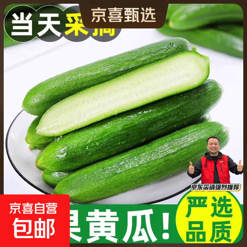 寿光水果小黄瓜新鲜生吃脆青瓜山东当季蔬菜整箱即食清甜产地直发 带箱 2斤 （净重1.8斤）