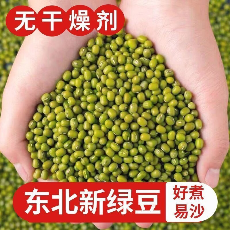 同仁堂正宗胖东来同款东北绿豆粒新货皮薄易出沙解暑绿豆汤五谷杂粮干货 东北新货绿豆 1000g*1袋 两斤装