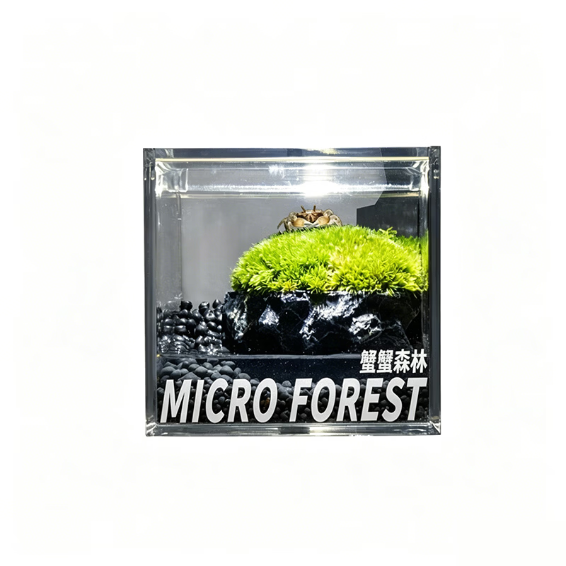 封茗苔藓微景观生态瓶办公室桌面绿植盆栽创意造景螃蟹缸室内观赏摆件 蟹蟹森林（螃蟹缸）送3只蟹