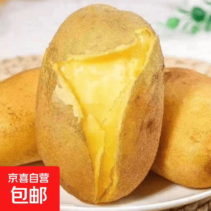 2026年新挖黄皮土豆黄心新土豆应季新鲜蔬菜马铃薯大洋芋批发便宜 带箱2斤装 小果