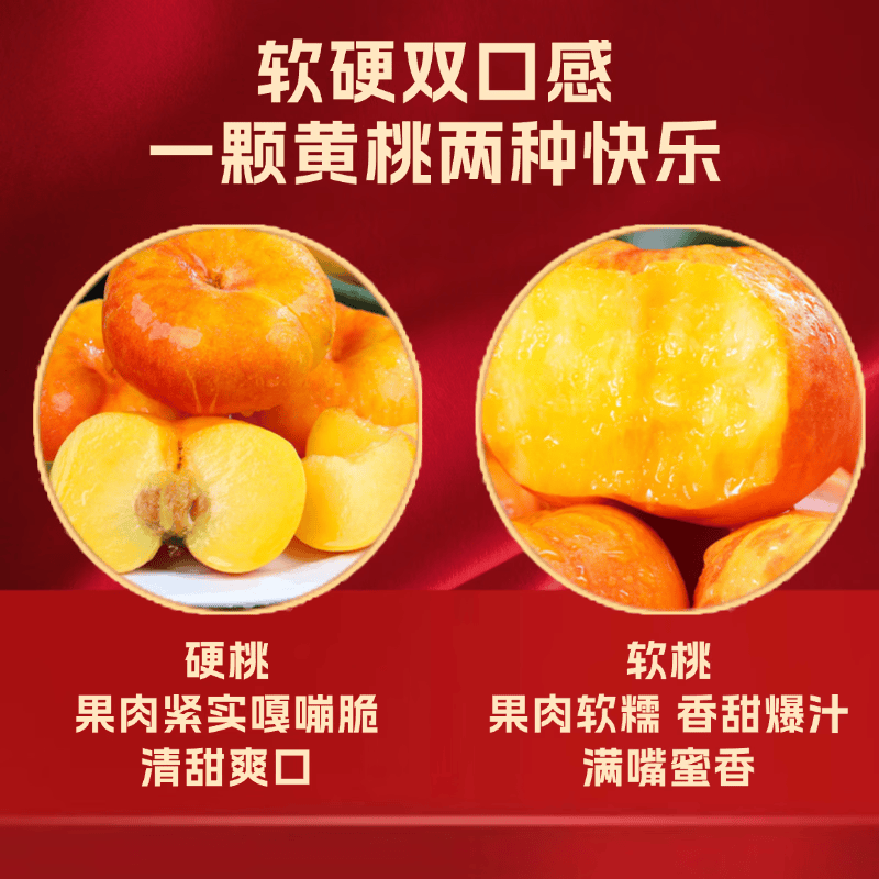 慧供彩虹油蟠桃山东蒙阴黄金油蟠桃当季新鲜头茬现摘5斤大果礼盒装 蒙阴彩虹蟠桃【净重4.5斤单果200g+】