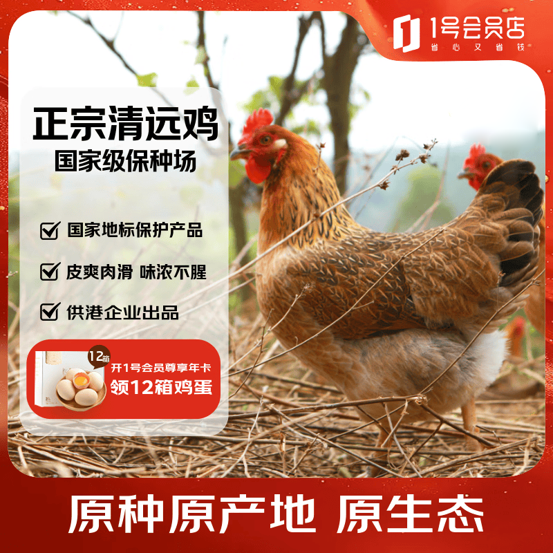 1号会员店（One's Member）纯种散养清远鸡 生态慢养168天供港土鸡走地鸡鸡肉 900g