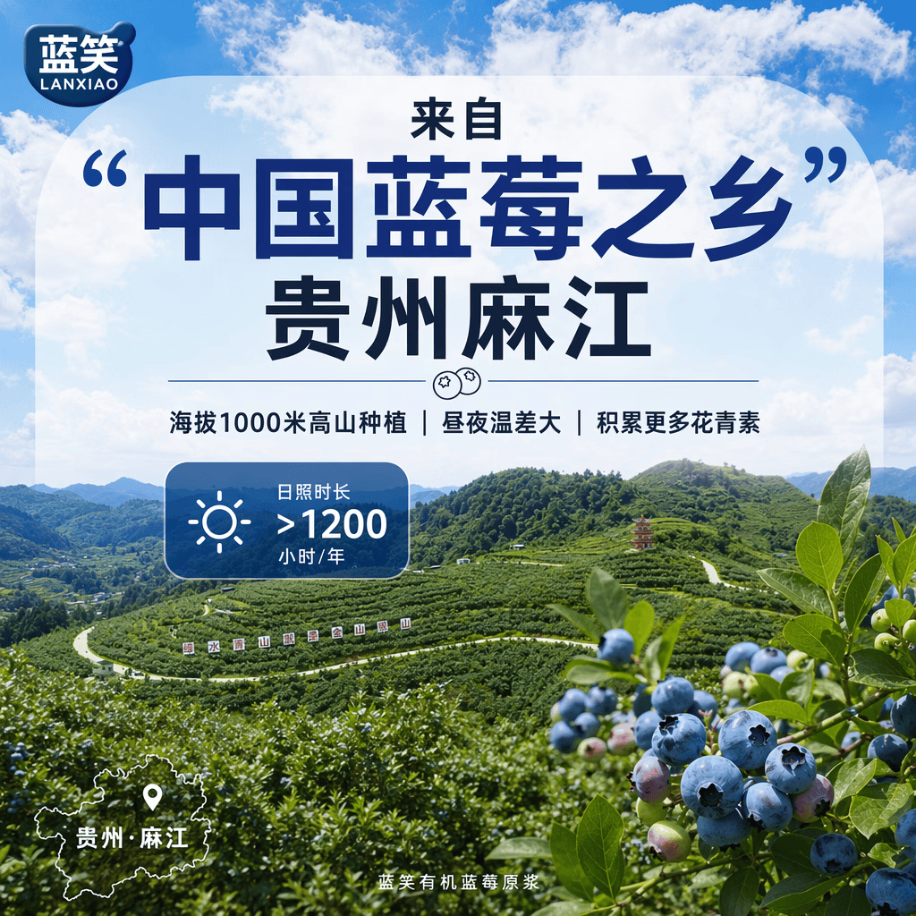 蓝笑有机蓝莓原浆0脂0糖 NFC纯果汁 富含花青素护眼 儿童孕妇早餐饮品 【送礼/长效护眼】450ml x 5袋(单袋低至39.98元)