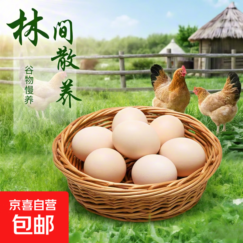 九华山新鲜鲜鸡蛋竹林虫草蛋林间早餐溏心蛋 40-50g生鲜 20枚