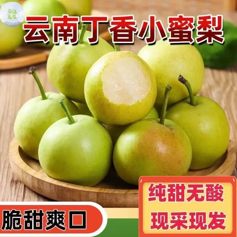 格沃斯(GEWOSI)云南丁香梨蜂糖梨小个纯甜应季新款水果批发梨子超市水果生鲜 丁香梨中果1斤装
