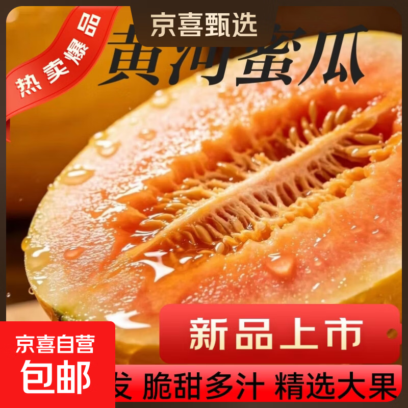 民勤蜜瓜黄金蜜瓜新鲜水果产地现发新鲜爆甜多汁头茬 净重8.5斤2-5个