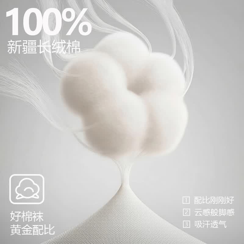 都市丽人女士短袜女26新款纯棉10A抗菌夏季透气柔软透气吸汗运动舒适短袜 6月白 均码