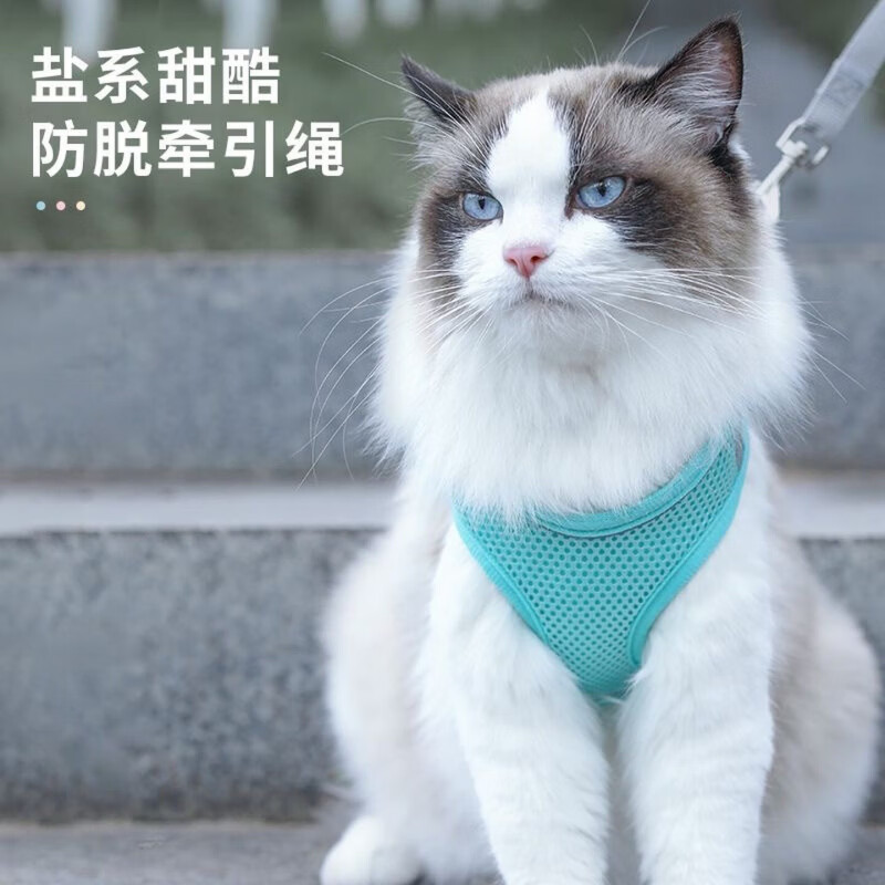 幼猫牵引绳宠物猫咪背心式胸抱婴袋外出英短溜猫专用绳猫链子防挣 绿拼灰+5米自动牵引绳 XXS【1-3斤】