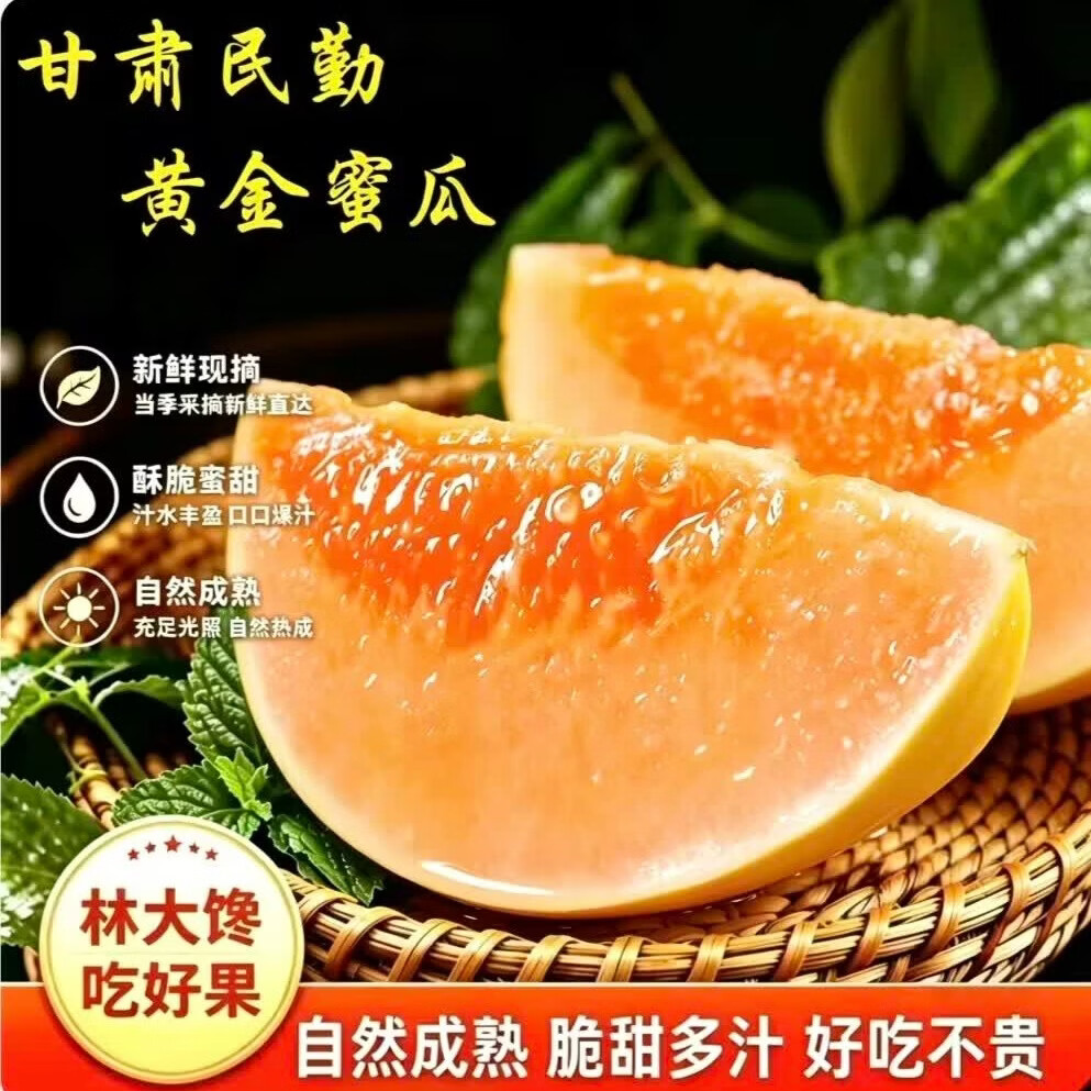 林大馋正宗甘肃民勤蜜瓜黄河黄金蜜瓜沙漠黄皮甜瓜香瓜饱满多汁新鲜水果 饱满匀称【民勤蜜瓜净4.5-5斤】(2颗)