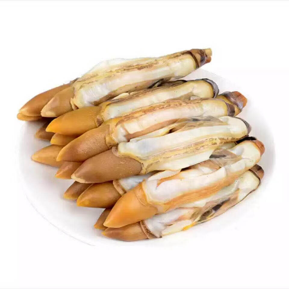 福字号去壳大号冷冻蛏子肉 净重2斤火锅海鲜竹节蛏竹蛏海鲜贝类