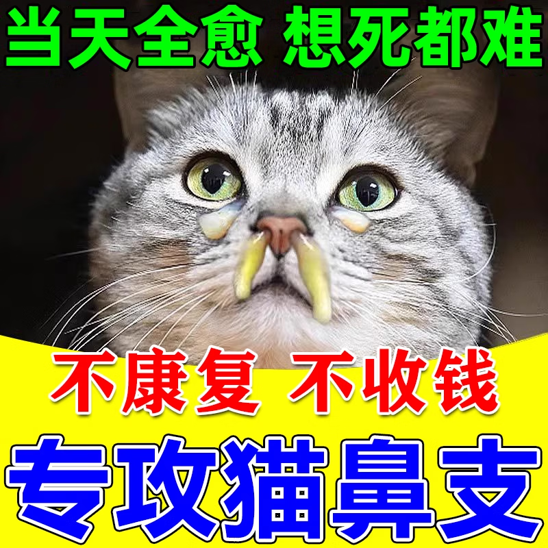 猫鼻支专用宠物猫咪眼睛泪痕眼屎流鼻子涕精神不佳支提升免疫专用 买五盒发九盒【永不再犯】
