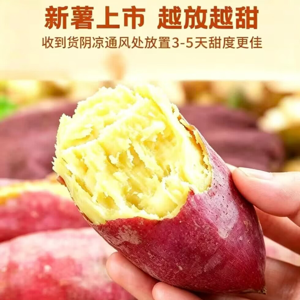 林大馋陕西正宗新鲜板栗红薯蜜薯 现挖粉糯番薯地瓜 粉面薄皮香甜糯蔬菜 5斤精选中果【净4.7斤起】单果125g起 粉糯香甜秦薯5号 秦岭产地直发-普通人没吃过的品种
