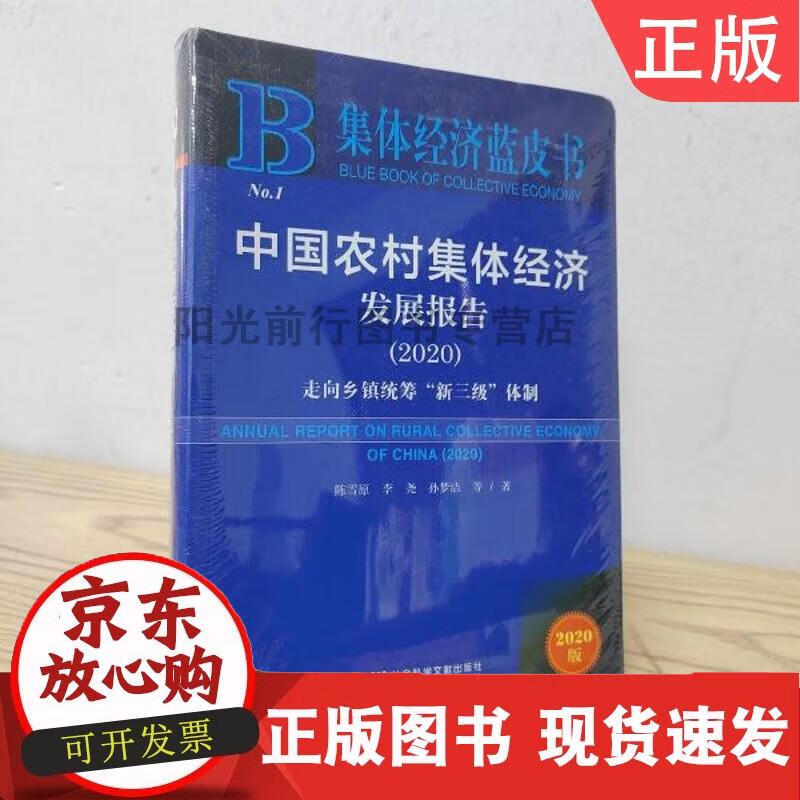 集体经济蓝皮书:中国农村集体经济发展报告