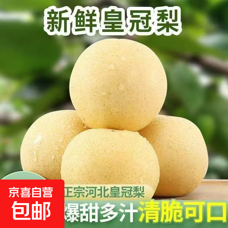 河北百年梨乡皇冠梨核心产区冰糖梨小吊梨汤润肺 带箱2斤[净重1.6斤]单果180g-250g 冰糖雪梨 果园直发 京东快递