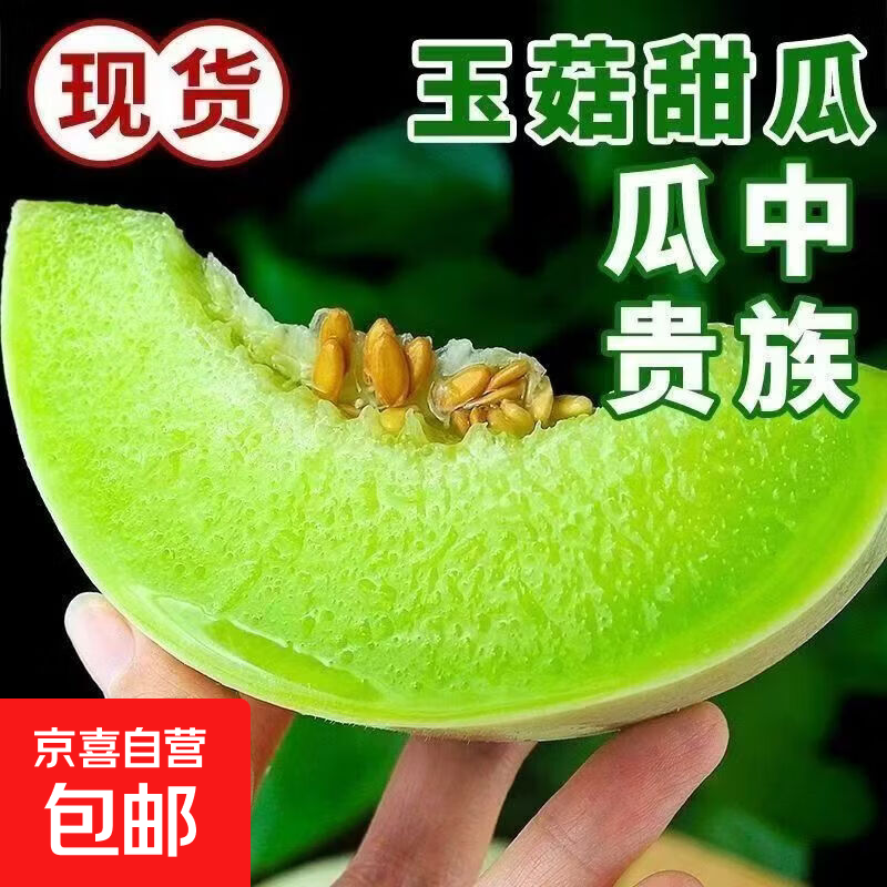 山东玉菇正宗甜瓜新鲜水果冰淇淋蜜瓜当季现摘应季哈密瓜奶香蜜瓜 带箱5-6斤（精选装）净重5-5.5推荐