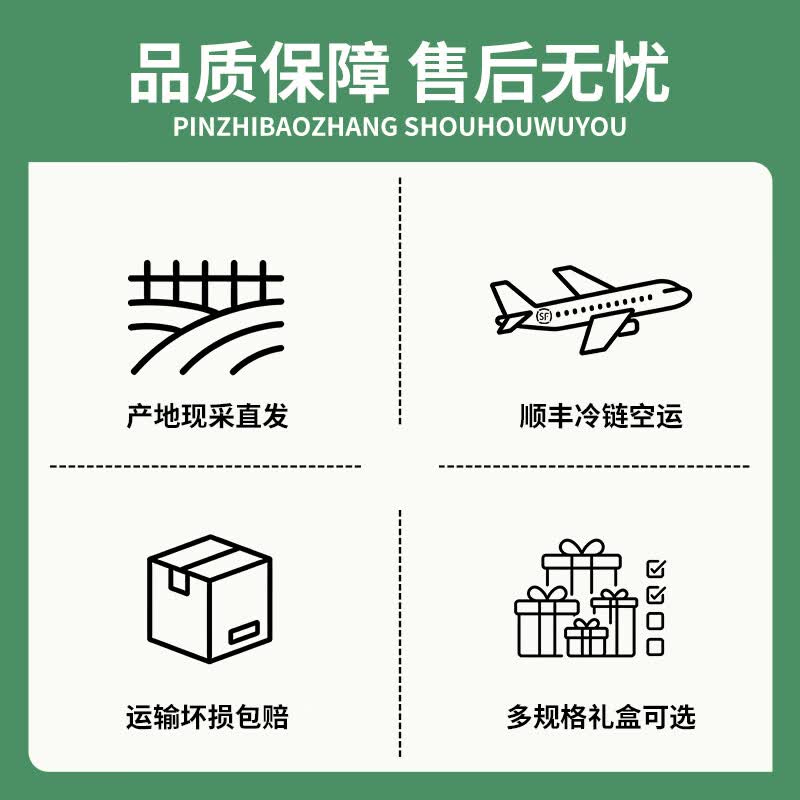 云创岳品香格里拉新鲜松茸菌子蘑菇出口级未开伞松茸礼盒团购顺丰冷链空运 出口级未开伞5-6cm 255g