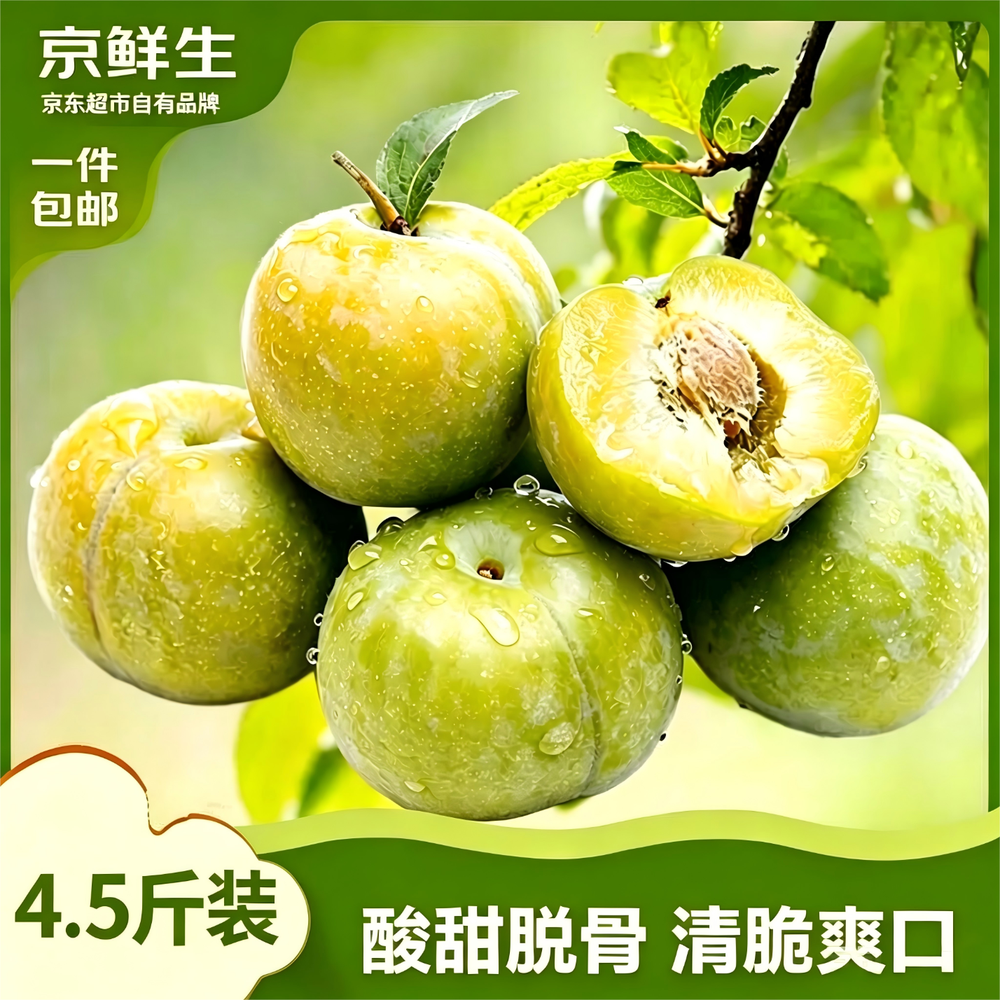 京鲜生四川蜂糖青脆李 净重4.5-5斤单果30-35g 生鲜水果 源头直发包邮