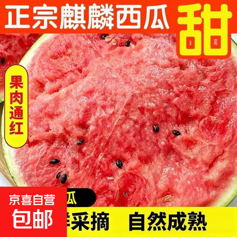 正宗麒麟西瓜当季新鲜水果西瓜现摘薄皮有籽脆甜多汁应季水果 净重5-6斤装