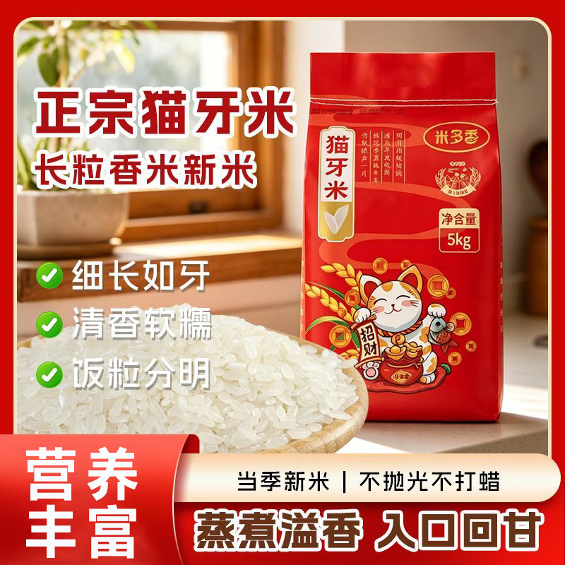 正宗猫牙米晚稻新米丝苗新米长粒香米一级大米方便食品 【当季新米】正宗猫牙米10斤
