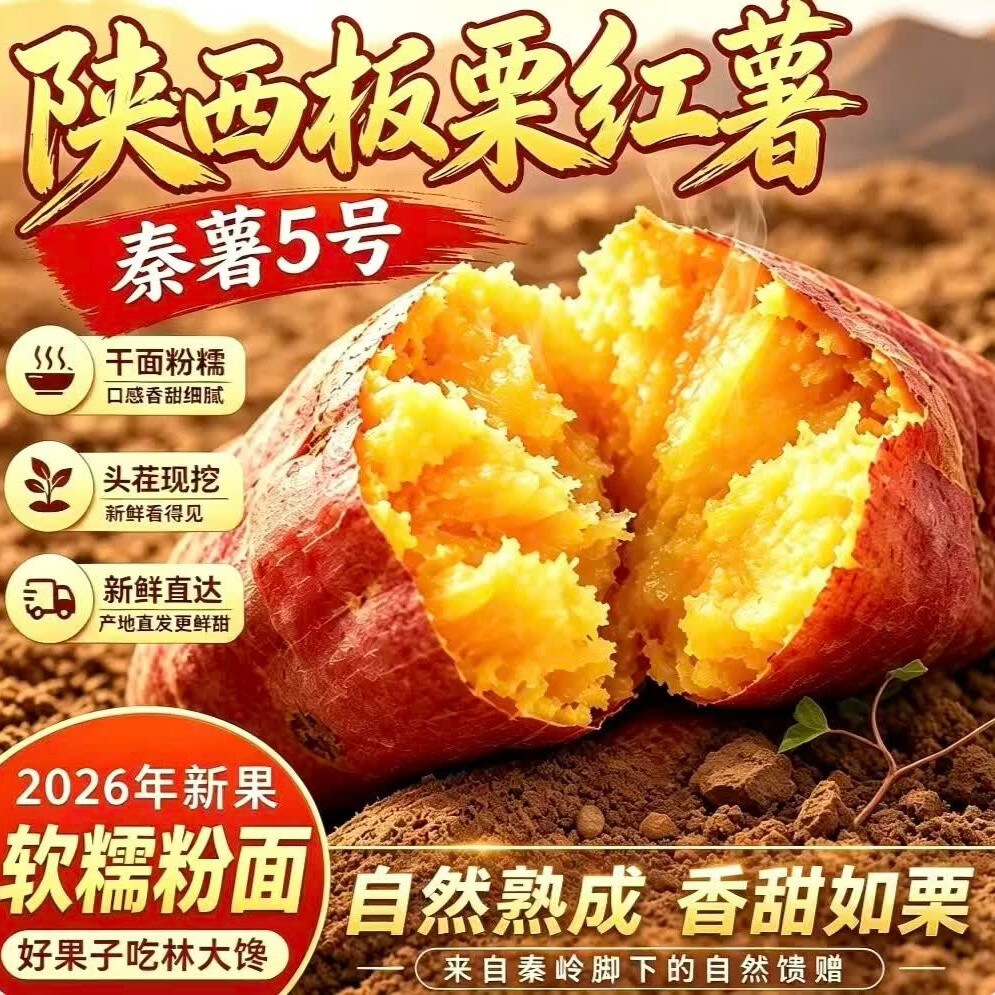 林大馋陕西正宗新鲜板栗红薯蜜薯 现挖粉糯番薯地瓜 粉面薄皮香甜糯蔬菜 5斤精选中果【净4.7斤起】单果125g起 粉糯香甜秦薯5号 秦岭产地直发-普通人没吃过的品种 京东折扣/优惠券