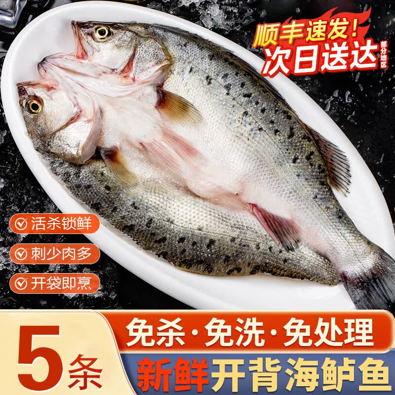 百鲜洽深海七星海鲈鱼开背三去整鱼速冻锁鲜真空包装免处理清蒸烤鱼食材 海鲈鱼无冰净重400g-500g条*5条【三去开背免处理】