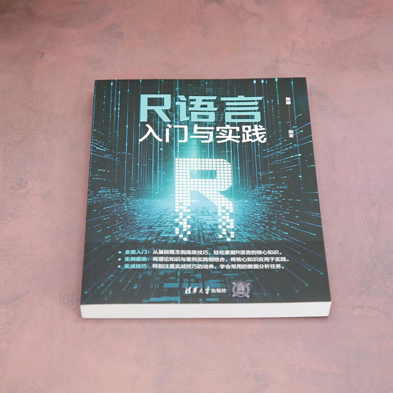 R语言入门与实践详情图