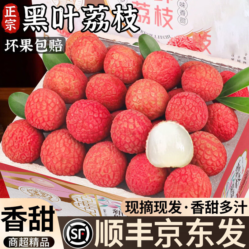 粤迎黑叶荔枝【京东冷链送货上门】新鲜荔枝甜蜜现摘现发端午盒送礼 5斤分享装【店长力荐装-狠狠划算】净4.5斤 A+级精选果【我狠甜】冷链到家