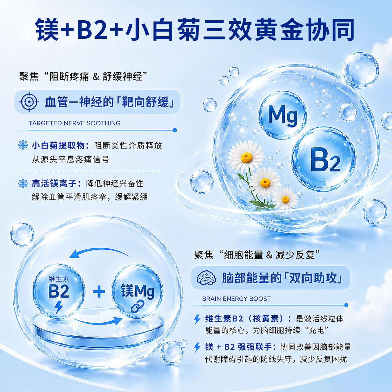 MigreLief美国进口迈立疏补镁小白菊维生素B2舒缓预防儿童偏头痛头晕营养包 预防舒缓儿童偏头痛 60粒*1瓶 【体验装】