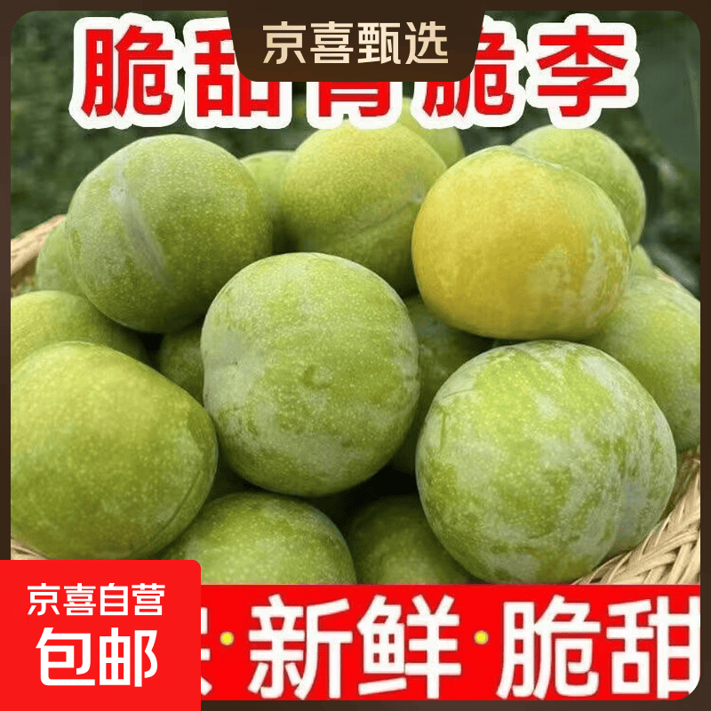 四川脆甜青脆李半边红新鲜现摘树上熟脱骨李新鲜孕妇水果 5斤整箱带箱（净重4.5斤） S+级甄大果狠甜口感