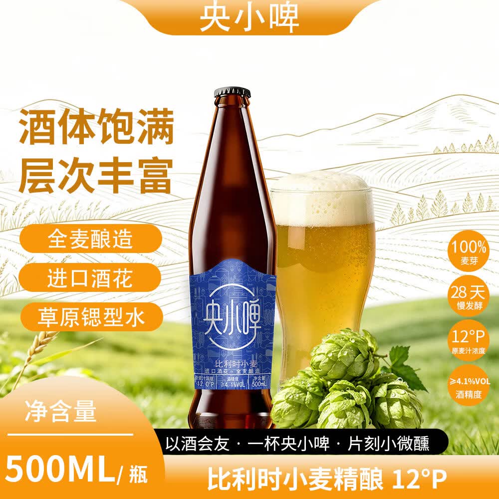 央小啤12P 比利时小麦全麦精酿啤酒 锶型水28天慢发酵进口麦芽整箱送礼 500ml 6瓶 礼盒装