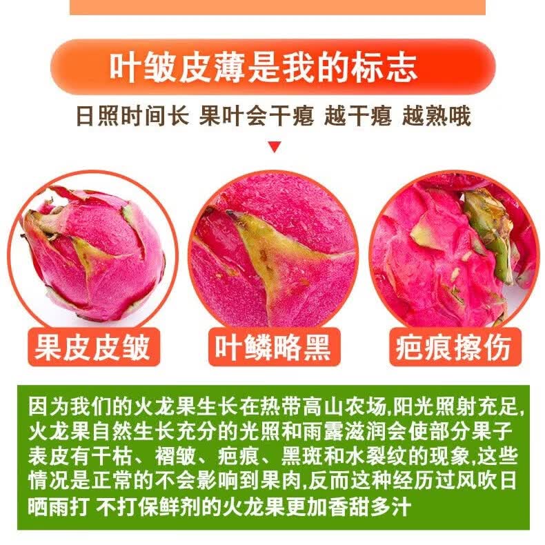 鲜福林云南红心火龙果金都一号新鲜水果 4.5斤单果200g+