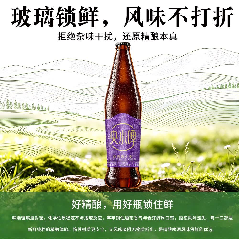 央小啤10P 百香果小麦精酿果味啤酒 锶型水28天慢发酵进口麦芽整箱礼盒 500ml 12瓶 礼盒装