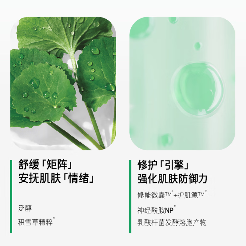 悦诗风吟（innisfree）红茶多肽系列抗皱紧致 红茶多肽抗皱尊享护肤套装+绿茶洁面150g
