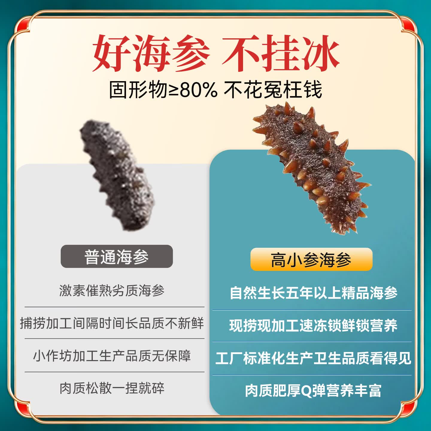 高小参鲜食海参选用5年以上自然生长精品海参每斤5-6头大个营养充足顺丰 5斤家庭装共25-30头（普通盒装无礼盒）
