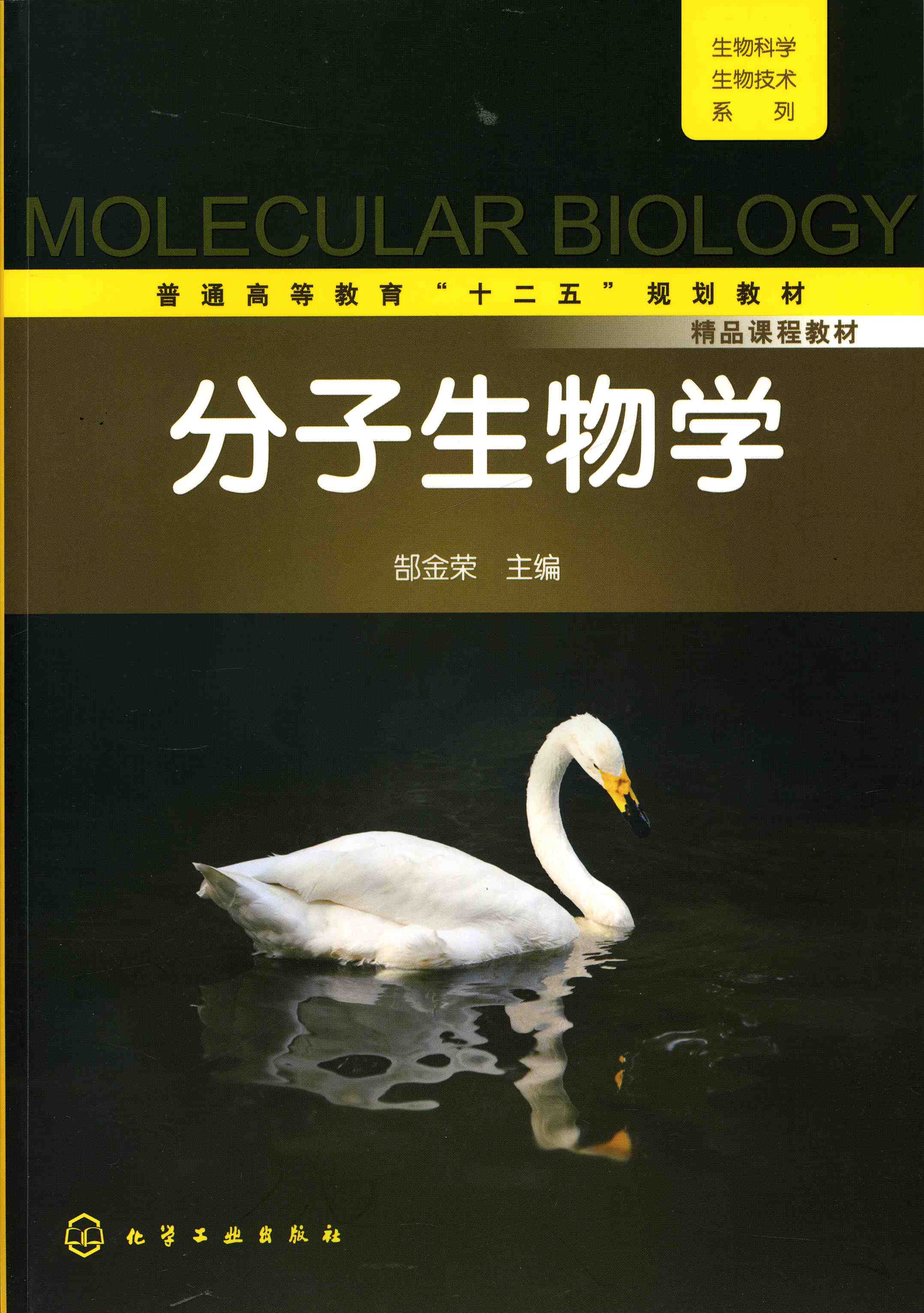 分子生物学 郜金荣 主编 生物科学生物技术系列