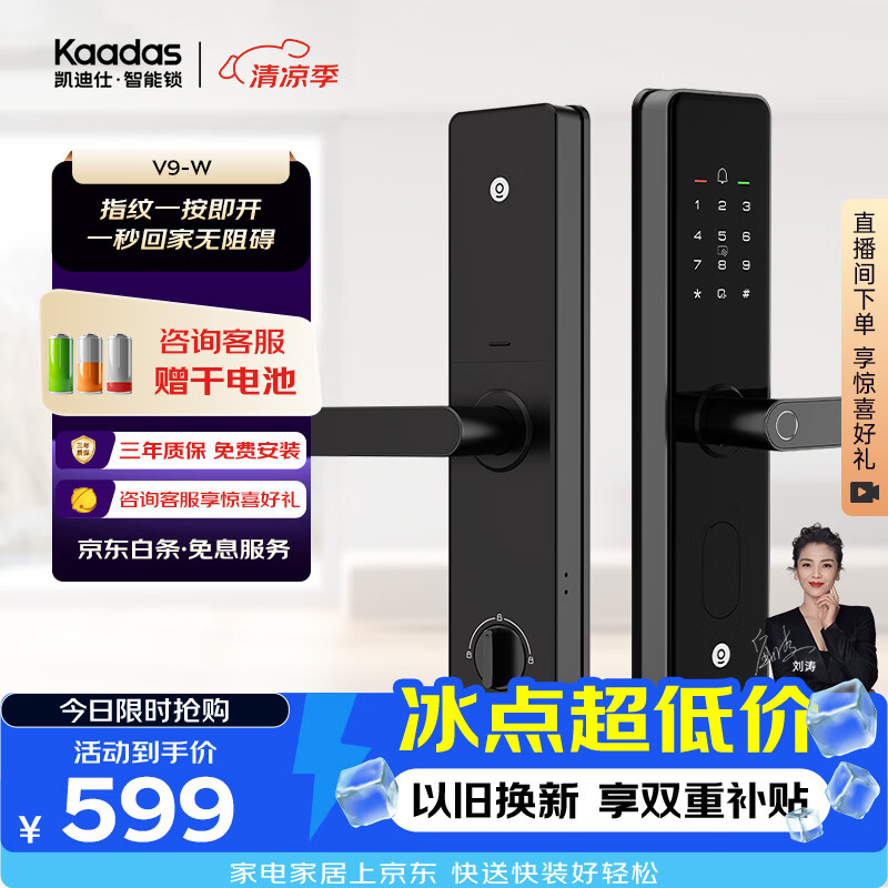 凯迪仕（KAADAS）智能门锁 指纹识别 防盗门锁密码锁 入户门电子智能锁 V9-W