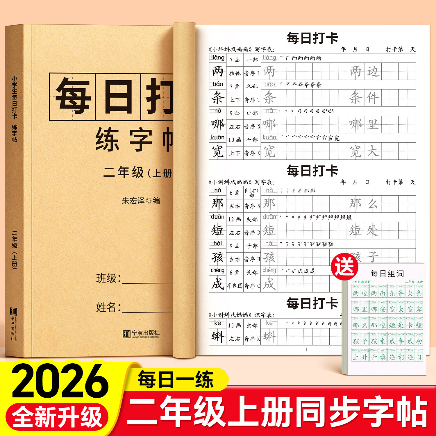 金枝叶二年级上下册练字帖人教版语文同步生字字帖每日一练小学生专用打卡练字本识写字表笔画笔顺描红本 【二年级上册】同步字帖