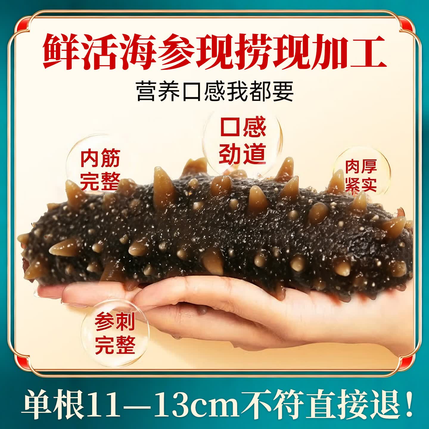 高小参鲜食海参选用5年以上自然生长精品海参每斤5-6头大个营养充足顺丰 5斤家庭装共25-30头（普通盒装无礼盒）