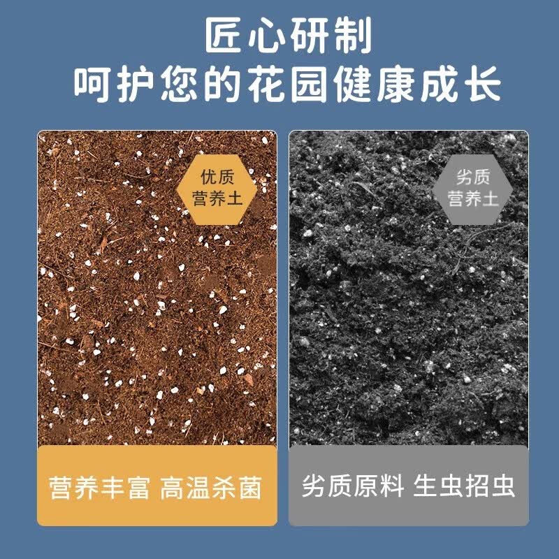 FMSERUIOS营养土养花通用种菜花多肉植物蓝莓专用种植泥炭土壤家用有机花土 营养土450g约1升