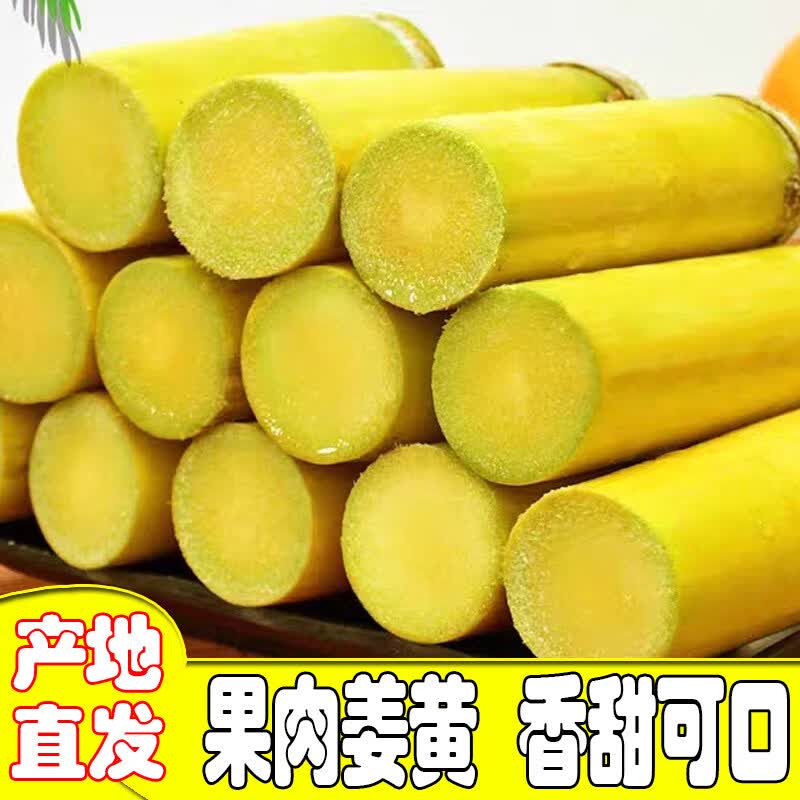 广西黄金水果甘蔗现现发特产榨汁黄金甘蔗广西水果 9斤 净重箱装精选中段带刀