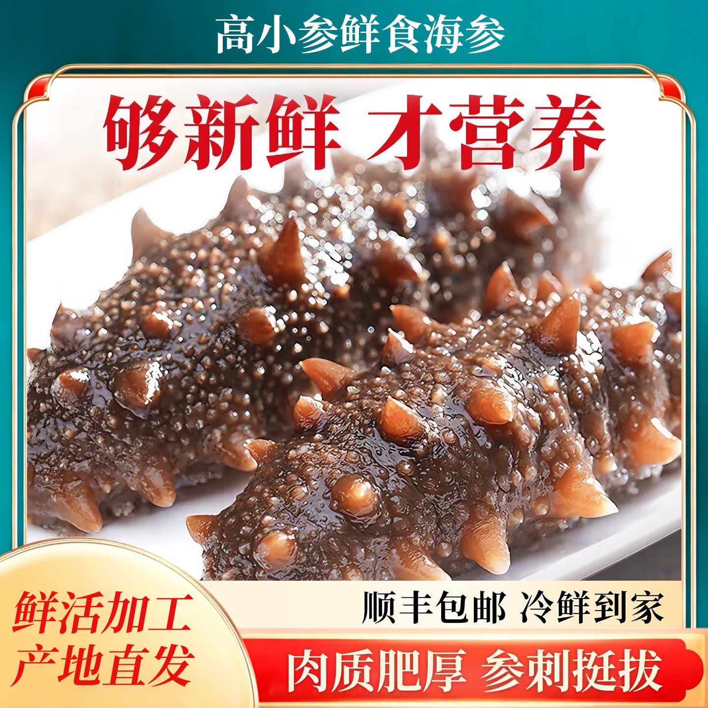 高小参鲜食海参选用5年以上自然生长精品海参每斤5-6头大个营养充足顺丰 5斤家庭装共25-30头（普通盒装无礼盒）