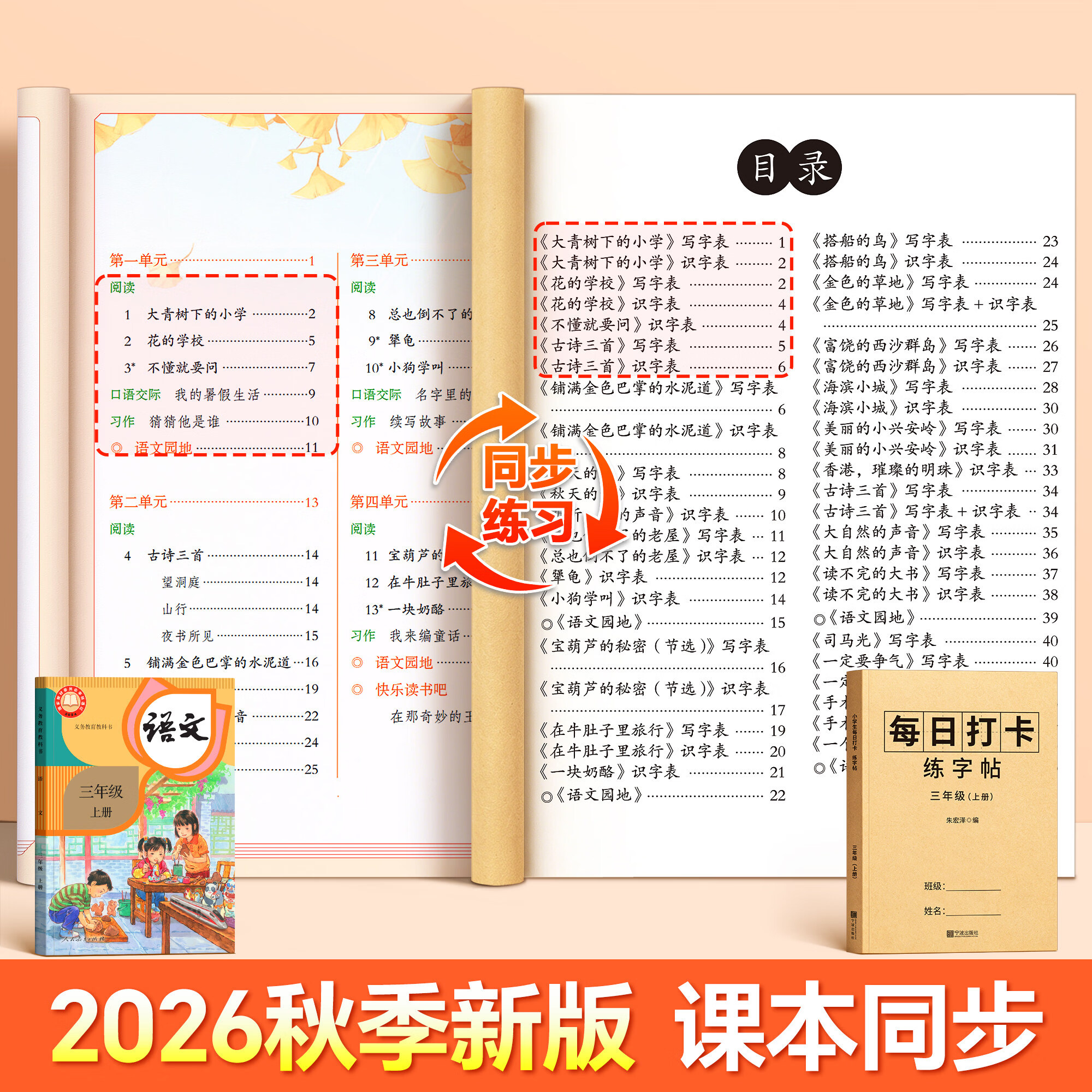 金枝叶三年级上下册练字帖人教版语文同步生字字帖每日一练小学生专用打卡练字本识写字表笔画笔顺描红本 三年级上册【送组词】含一二类字
